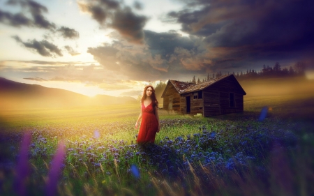 Summer - cottage, girl, field, house, fantasy, flower