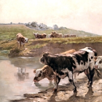 Cattle in a Pasture F