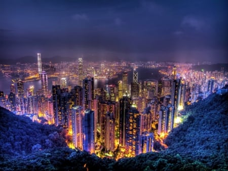 The view - skyscape, city, buildings, lights