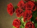 Red Roses