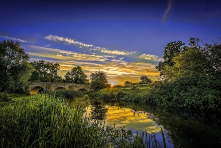 River Sunset - tree, nature, sunset, river