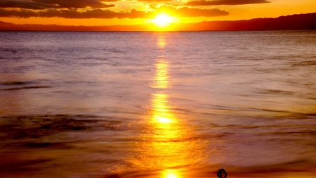 Sea at Golden Sunset - horizon, nature, beach, reflection, golden, shore, sunset