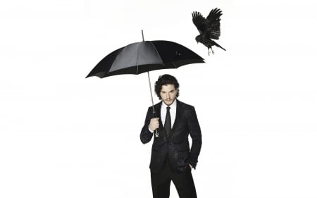 Kit Harington - bird, black, actor, white, umbrella, pasare, man, Kit Harington