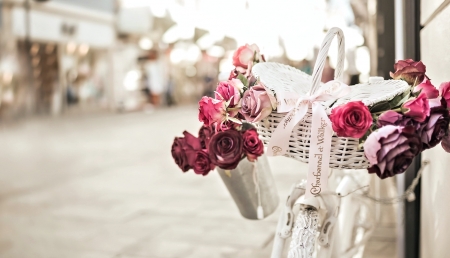 Bicycle with Roses - pretty, bycicle, rose, flower