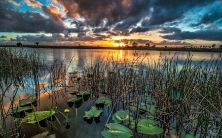 Lake Sunset - nature, lake, sunset, grass