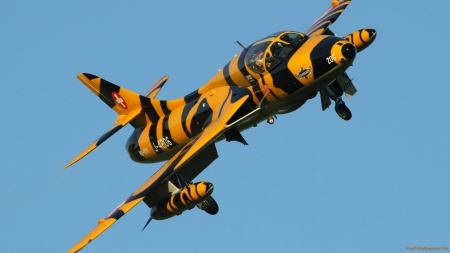 Hawker Hunter - Hunter, Military, Plane, Hawker