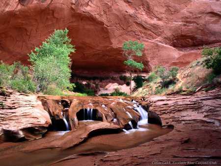 escalante river - waterfalls, trees, canyons, water, forest