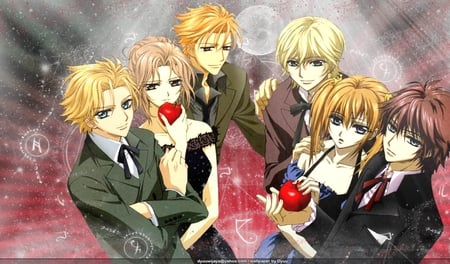 the Night Class - friends, anime, vampire knight, wallpaper