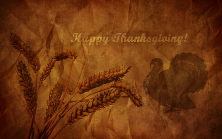 Happy Thanksgiving  - happy thanksgiving, wheat, turkey, holiday, lettering