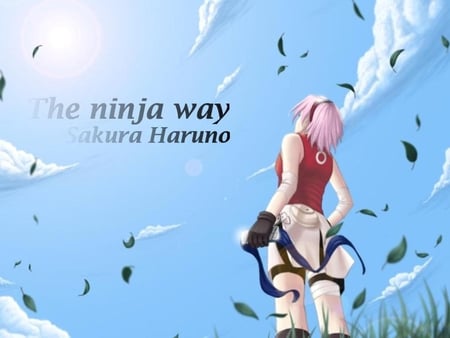 the way ofninga - anime, girls, other