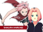 sakura wallpaper