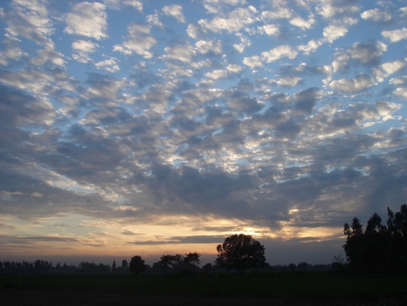 Sky - sun set, tree, sky, fields