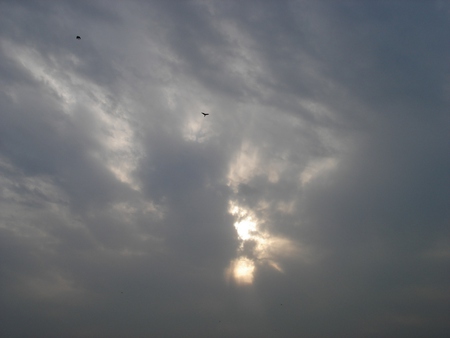 Freedom  - sky, clouds, freedom