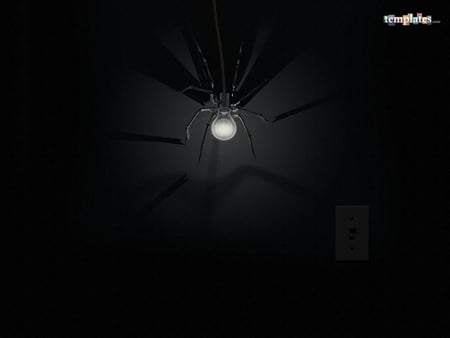 Bulb Spider - spider, black, bulb