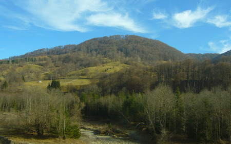 Valley forest - countryside, autumn, landscape, forest, valley