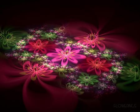 COLORFUL FLOWER - flowers, abstractcolorful