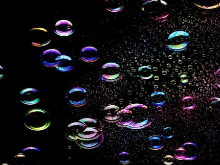 Floating - bubbles, transparent, floating, black