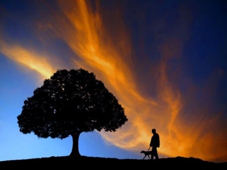 Walk with a friend (for John] - tree, sunset, man, dog