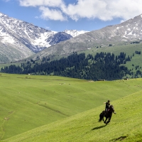 Boy rides a horse in China