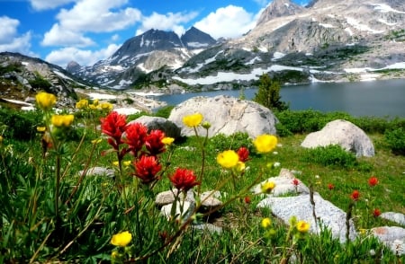 Flowers at the Lake - lake, flower, nature, stone