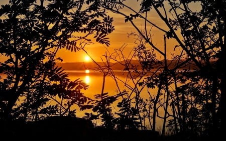 Lake Sunset - lake, tree, nature, sunset