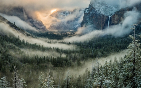 Yosemite - nature, yosemite, forest, national park, mountains