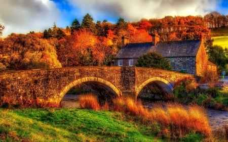 Old Bridge and House - forest, cool, fun, bridge, nature