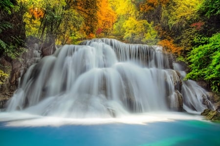 Forest Waterfall - forest, water, waterfall, tree