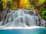 Forest Waterfall