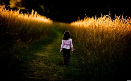 Little Girl - people, hair, sunset, belle, sightly, white, face, childhood, fair, little, bonny, adorable, child, wallpaper, pink, beautiful, sweet, nice, beauty, photography, pretty, baby, walk, cute, fields, kid, dainty, girl, lovely, pure, comely, desktopnexus, blonde