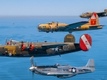 Wings of Freedom