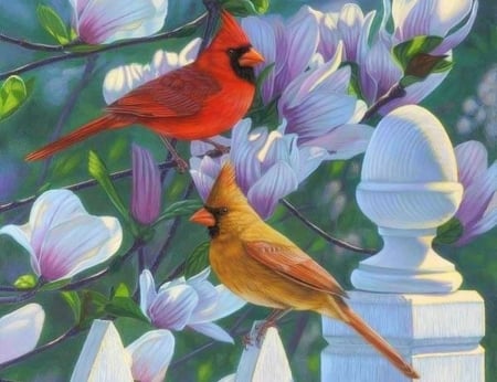 Cardinals & Magnolias - birds, paintings, spring, fence, cardinals, flowers, nature, garden, love four seasons, animals, magnolias