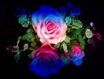 Rainbow Rose