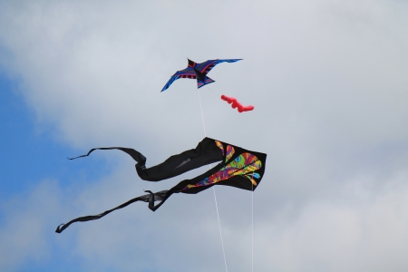 Kites - Kites, flying, clouds, photo