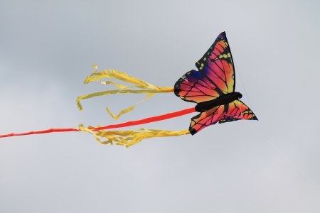 kite - kite, sky, butterfly, photo