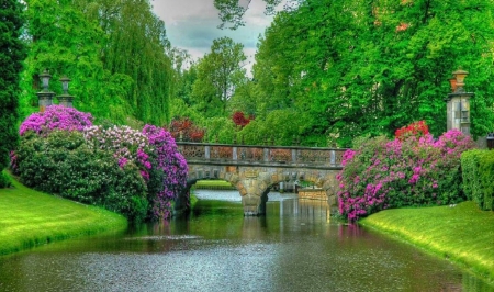 ♥ - greenery, spring, trees, bridge