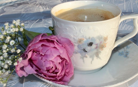 Still Life - pretty, Cup, Still Life, Flower