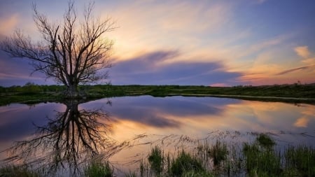 Lake Sunset - nature, sky, lake, trees, reflection, clouds, sunset