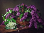 Still life with a basket of lilacs