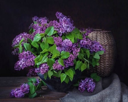 Lilacs - pot, lilac, spring, flower, pink, still life, purple, green, old, daykiney