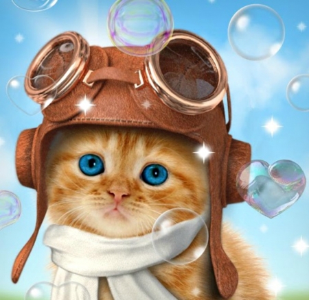 Kitten - hat, blue, ginger, eyes, creative, orange, cat, fantasy, pisica, kitten, bubbles, luminos