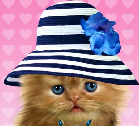 Kitten - hat, summer, blue, flower, kittten, pink, cat, pisica, cute, face