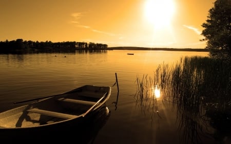 Beauty of Sunrise - nature, landscape, trees, river, water, sunrise, boat