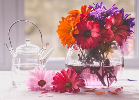 Still Life - pretty, still life, flower, vase