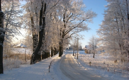 Winter Road in Mazury, Poland - trees, mazury, winter, poland, road