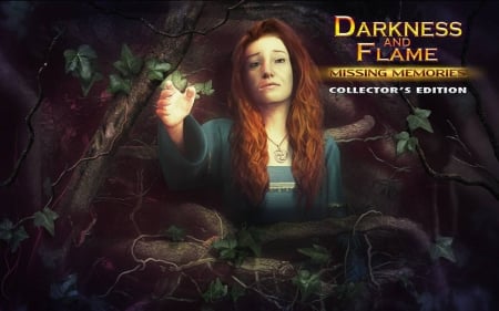 Darkness And Flame 2 - Missing Memories09 - hidden object, cool, video games, fun, puzzle