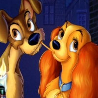 Lady And The Tramp