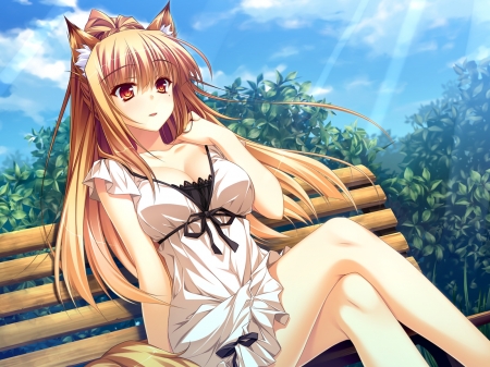 Nekomimi Woman - nekomimi, pretty, cute, beautiful, woman