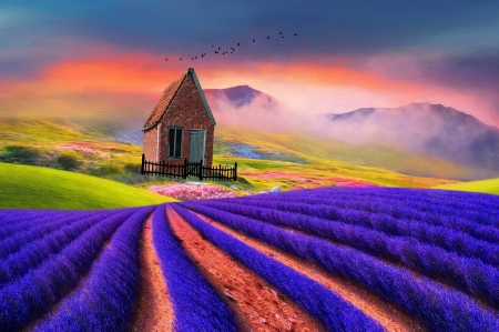 Heavenly earth - heaven, pretty, house, lavender, beautiful, earth, meadow, colorful, fantasy, field, paradise, hut, art, cottage, sky