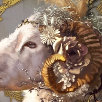 Zodiac ~ Aries